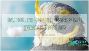 how to clean cockatiel nostrils