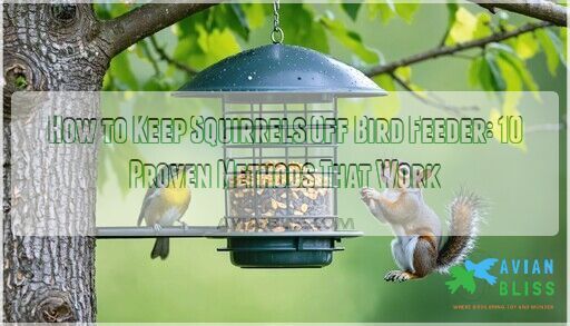 How to Keep Squirrels Off Bird Feeder: 10 Proven Methods That Work