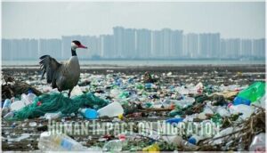 human impact on migration