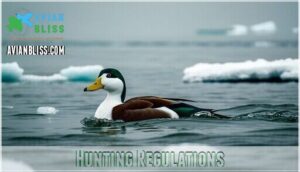 hunting regulations
