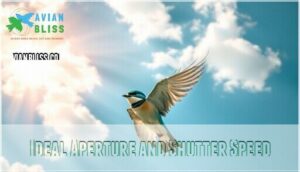 ideal aperture and shutter speed