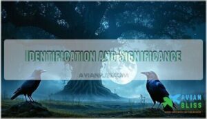 identification and significance