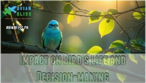 impact on bird's life and decision-making