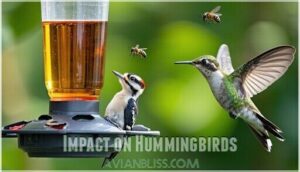 impact on hummingbirds