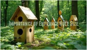 importance of entrance hole size