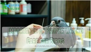 importance of proper wound care for birds