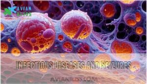 infectious diseases and seizures
