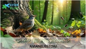 insects and invertebrates