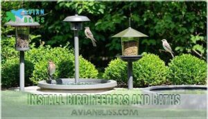 install bird feeders and baths