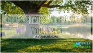 interactions with owls in your yard