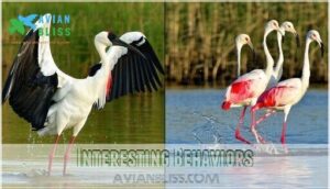 interesting behaviors