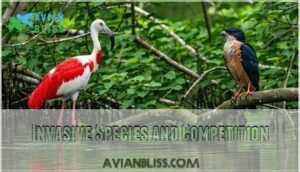 invasive species and competition