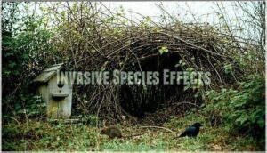 invasive species effects