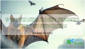 is the bat an animal or a bird
