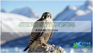 juvenile characteristics