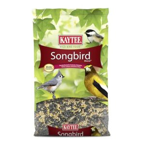 Kaytee Songbird Wild Bird Seed, B003URCM9W