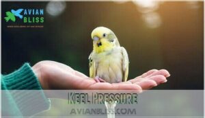 keel pressure