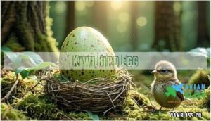 kiwi bird egg