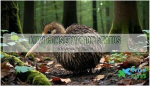 kiwi conservation status