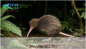 little spotted kiwi