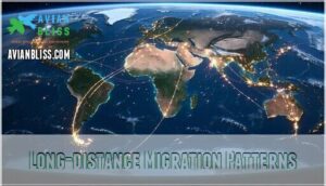 long-distance migration patterns