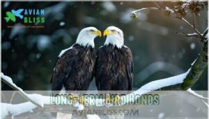 long-term bird bonds