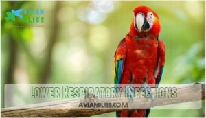 lower respiratory infections lower respiratory infections