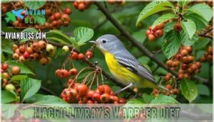 macgillivray's warbler diet