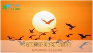 magnetic orientation