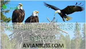 male and female roles in building male and female roles in building