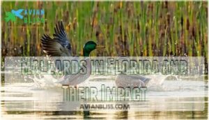 mallards in florida and their impact