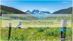 management considerations for mountain bluebirds in oregon and washington