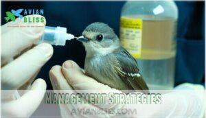management strategies management strategies