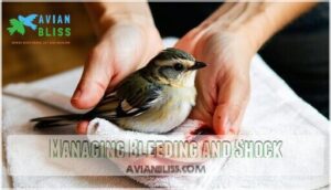 managing bleeding and shock