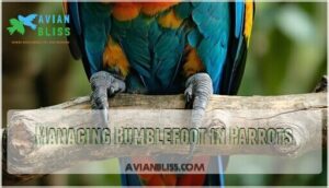managing bumblefoot in parrots
