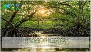 mangrove swamps