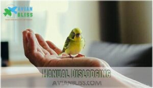 manual dislodging
