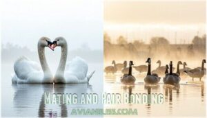 mating and pair bonding