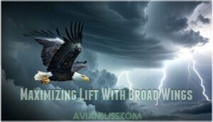maximizing lift with broad wings