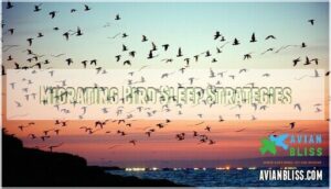 migrating bird sleep strategies