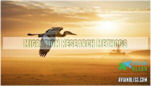 migration research methods