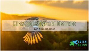 migration speed and distance