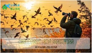 migratory bird sightings