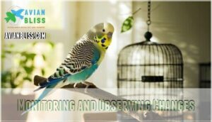 monitoring and observing changes