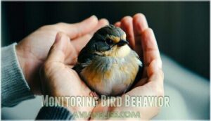 monitoring bird behavior