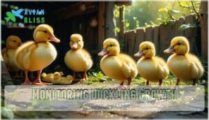 monitoring duckling growth