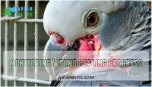 monitoring wound healing progress