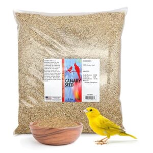 Morning Bird Canary Seed – B01B23ZPWQ