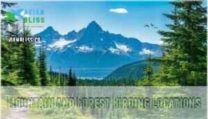 mountain and forest birding locations