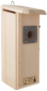 Mounted Downy Woodpecker Bird Nest B0006TWG3E